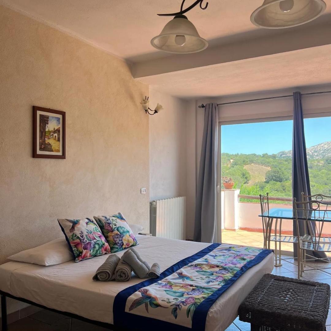 Family Room Terrace